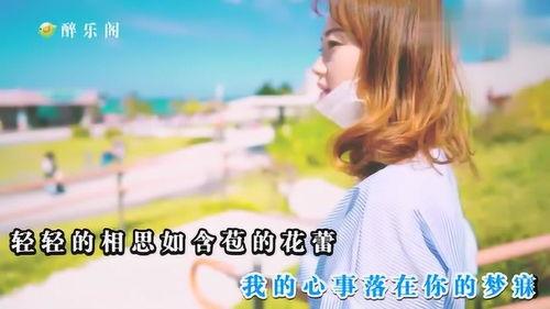 娱乐吃瓜小阿酱是谁啊小说,揭秘网络小说中的神秘女主角